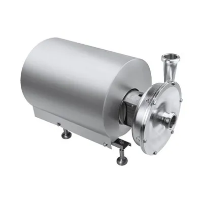 Flexible Impellerpumpe mit Motor